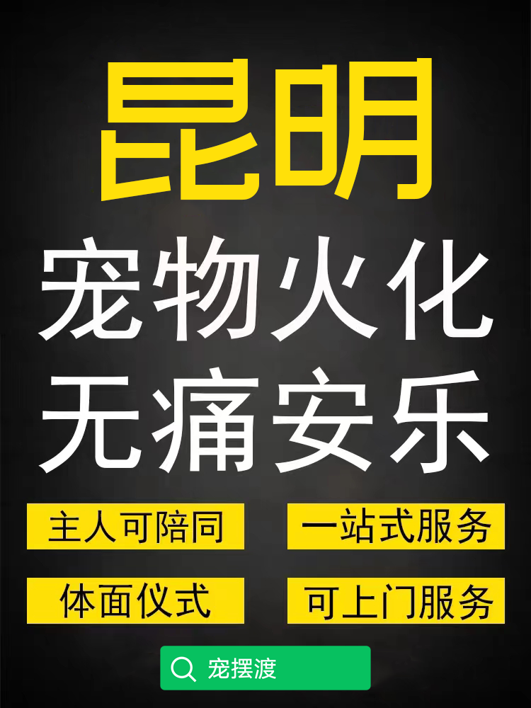 昆明宠物殡葬火化如何预约？