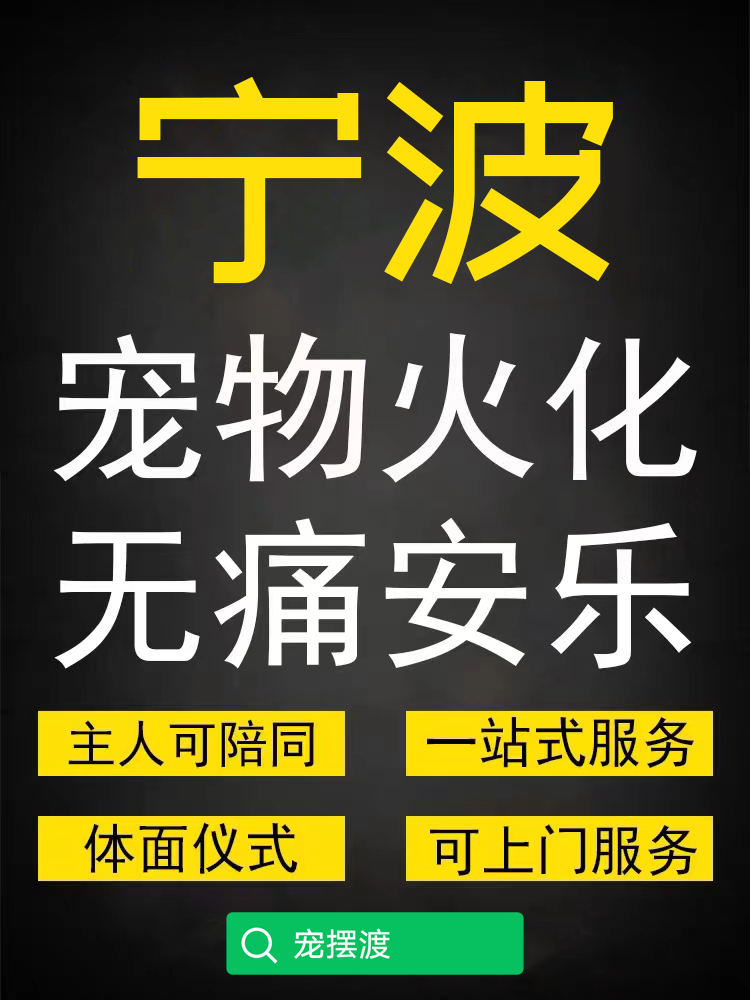 宁波﻿本地怎么联系宠物殡葬火化上门接