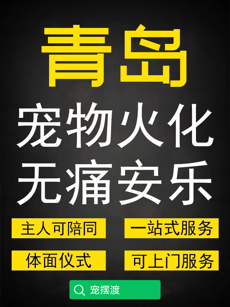 青岛本地怎么联系宠物殡葬火化上门接