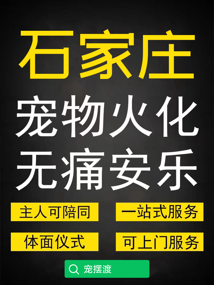 石家庄宠物火化费用，宠物去世后怎么处理