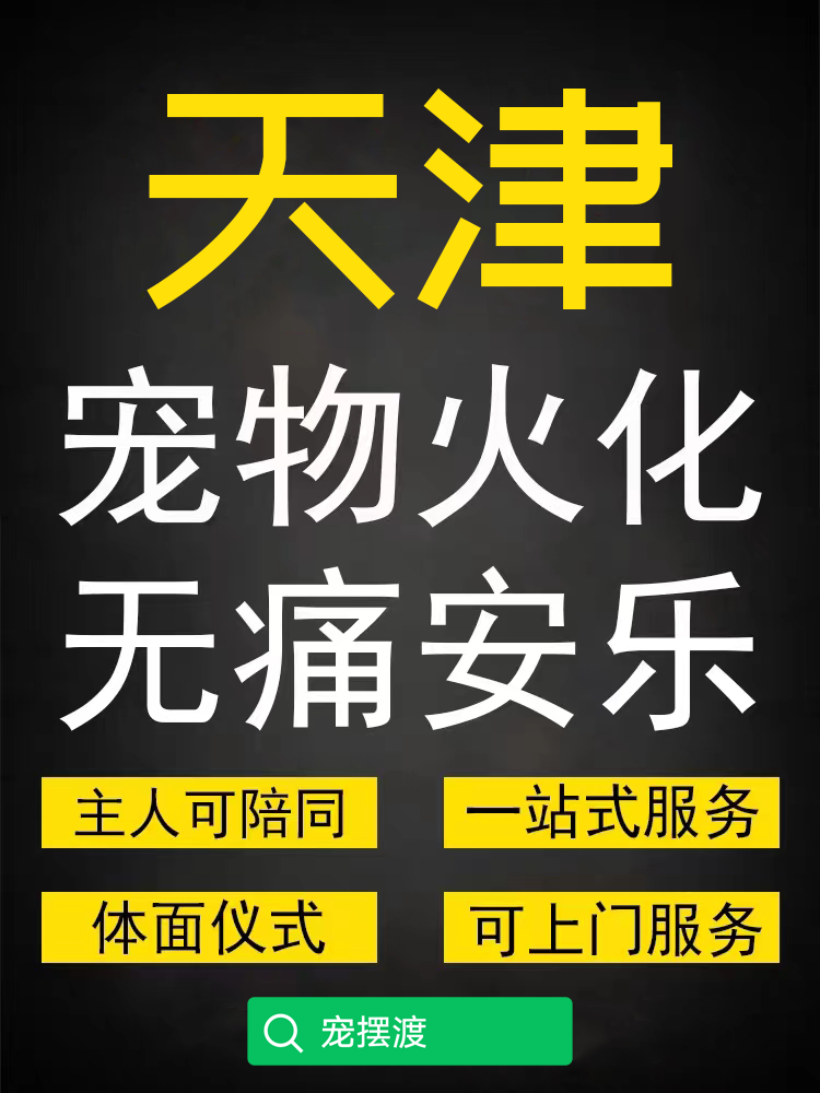 天津宠物火化费用，宠物去世后怎么处理