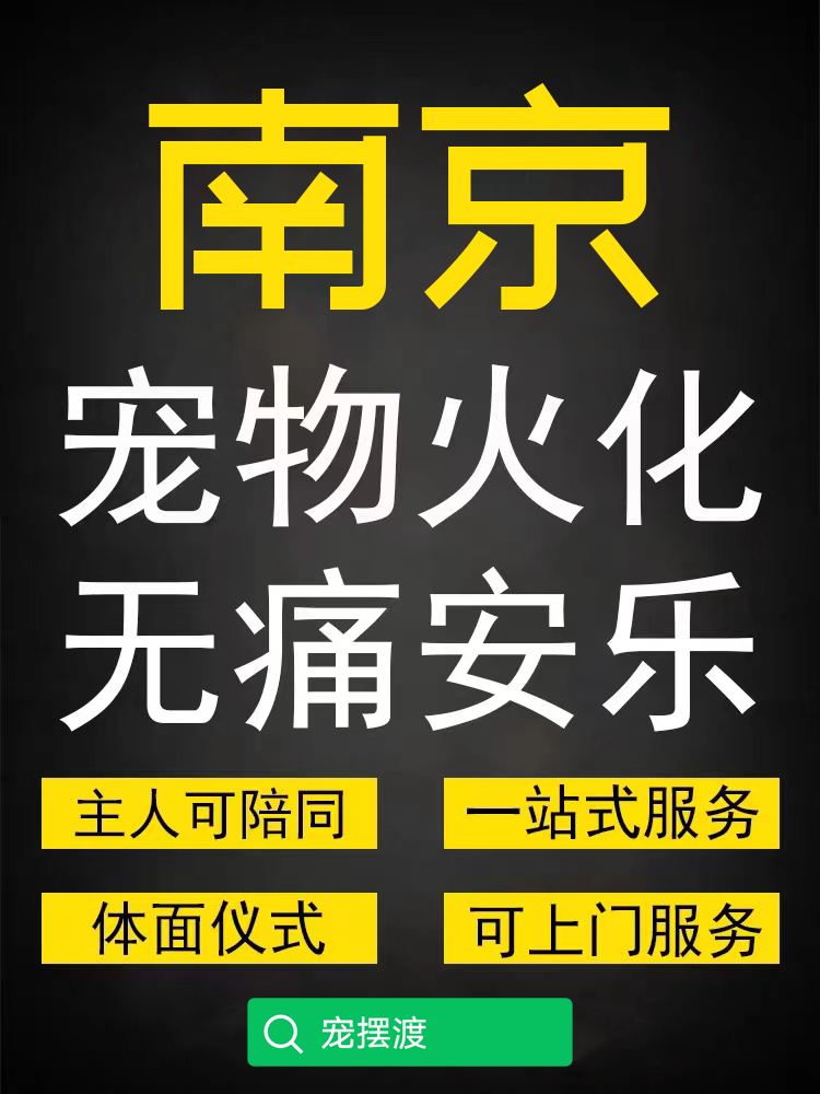 南京宠物殡葬火化如何预约？