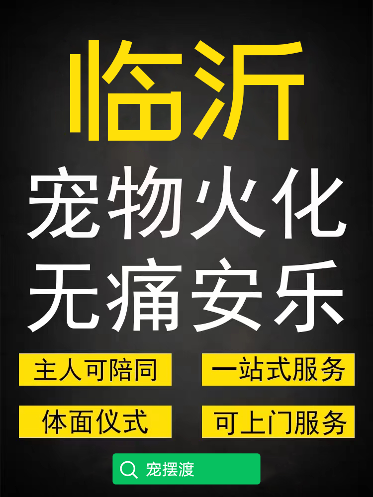 临沂宠物殡葬火化如何预约？