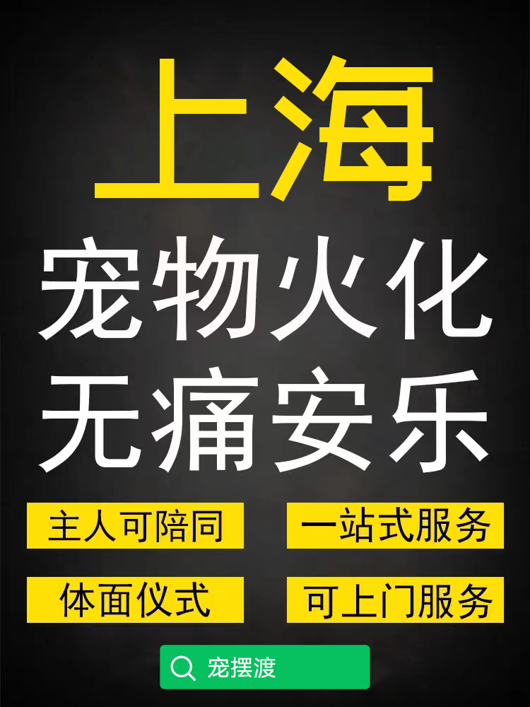 上海本地怎么联系宠物殡葬火化上门接