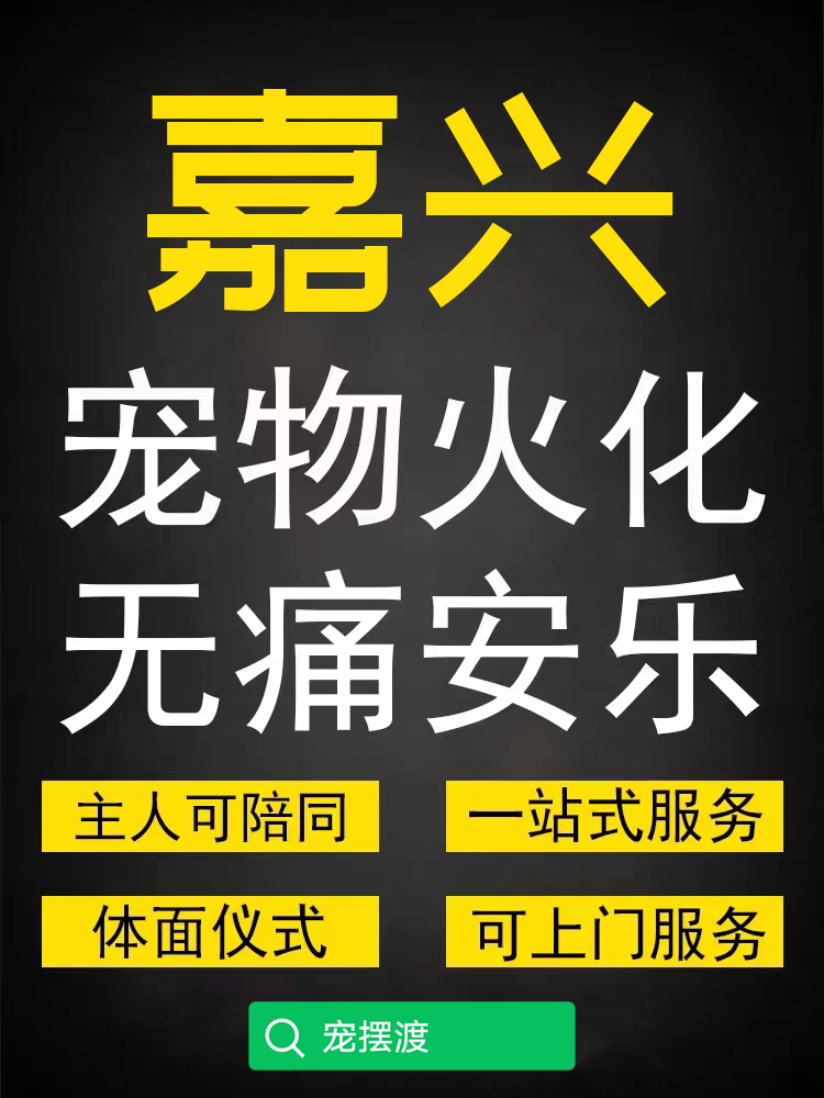 嘉兴﻿宠物殡葬火化如何预约？