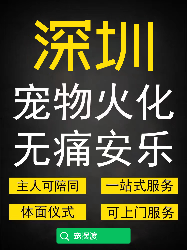 深圳本地怎么联系宠物殡葬火化上门接