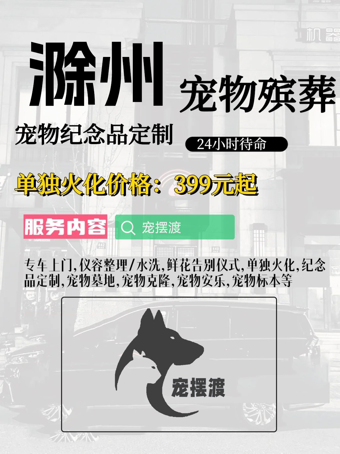 滁州宠物殡葬：如何为宠物选择合适的殡葬仪式