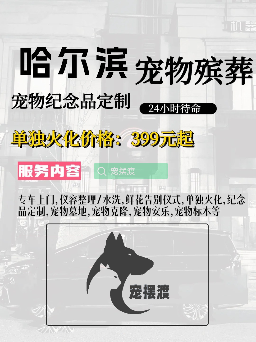哈尔滨宠物殡葬：如何为宠物选择合适的殡葬仪式